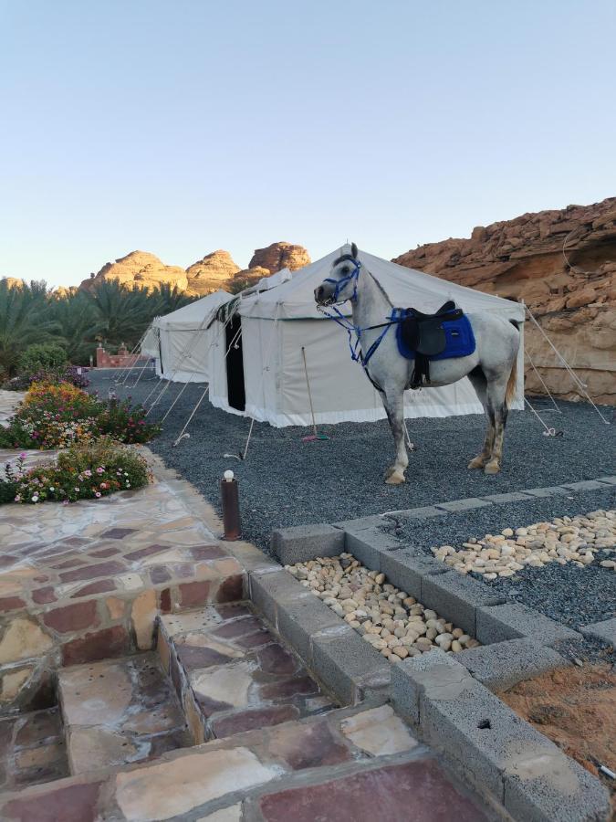Rural Tents Naseem الخيمةالريفيةalouzaib Аль-Ула Экстерьер фото