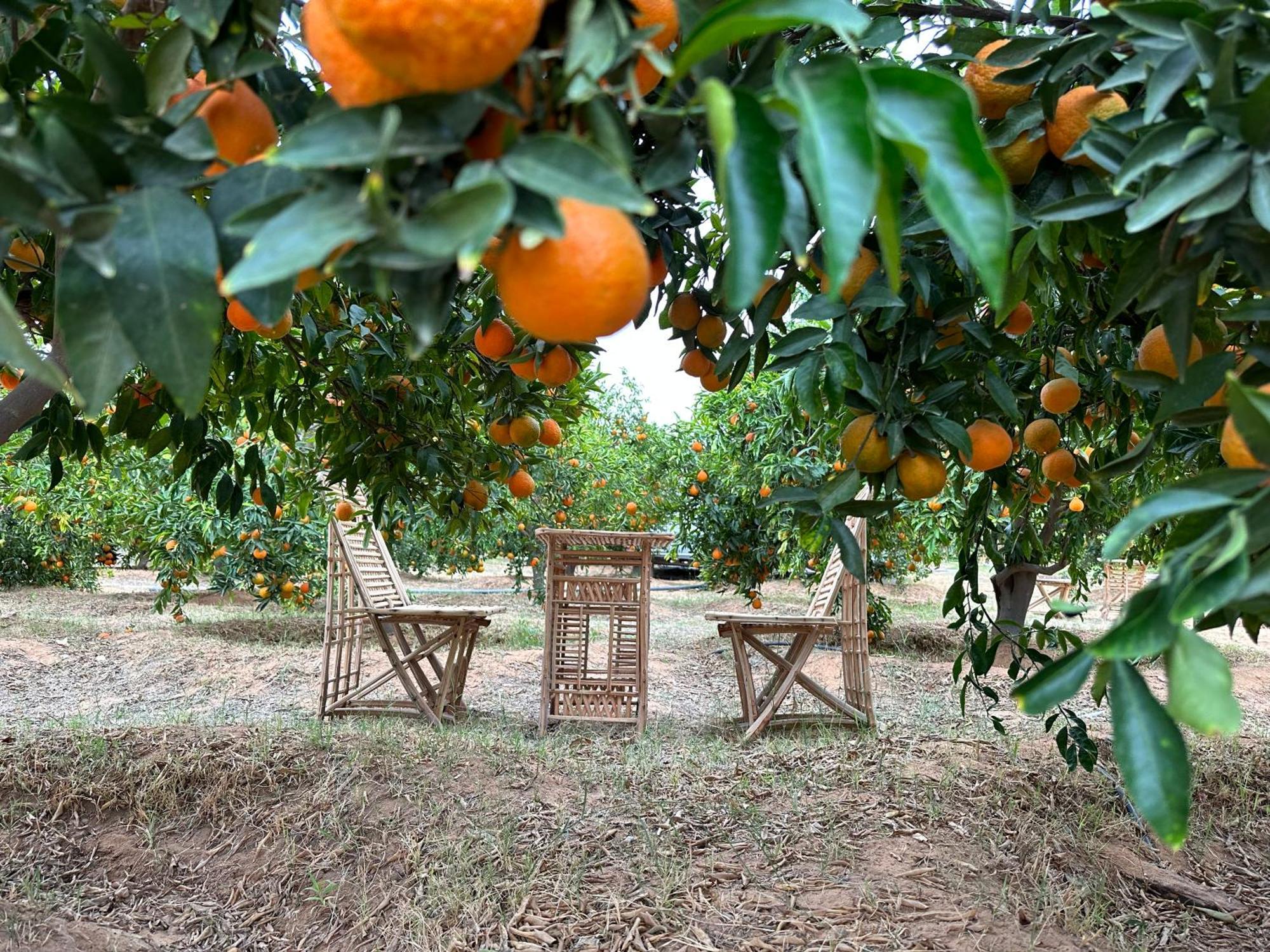 Rural Tents Naseem الخيمةالريفيةalouzaib Аль-Ула Экстерьер фото